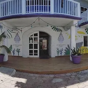  Hostel Les Trois Singes - Friendly Hostel Mexico